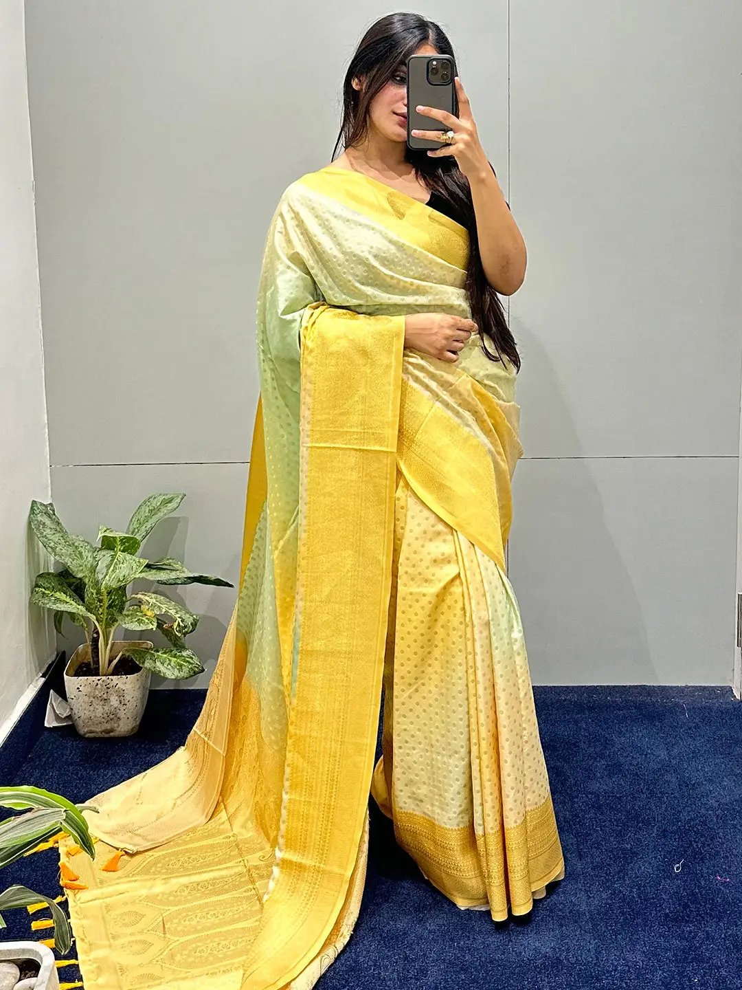 Soft Silk Banarasi Ombre Print Saree
