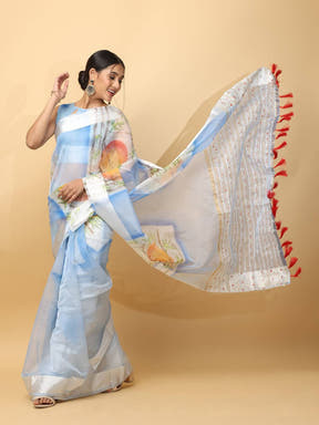 Soft Orgenza Hand Print Party Wear Saree