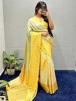 Soft Silk Banarasi Ombre Print Saree