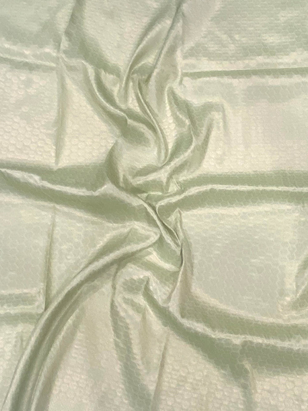 Pastel Green Kanjivaram Digital Silk Saree