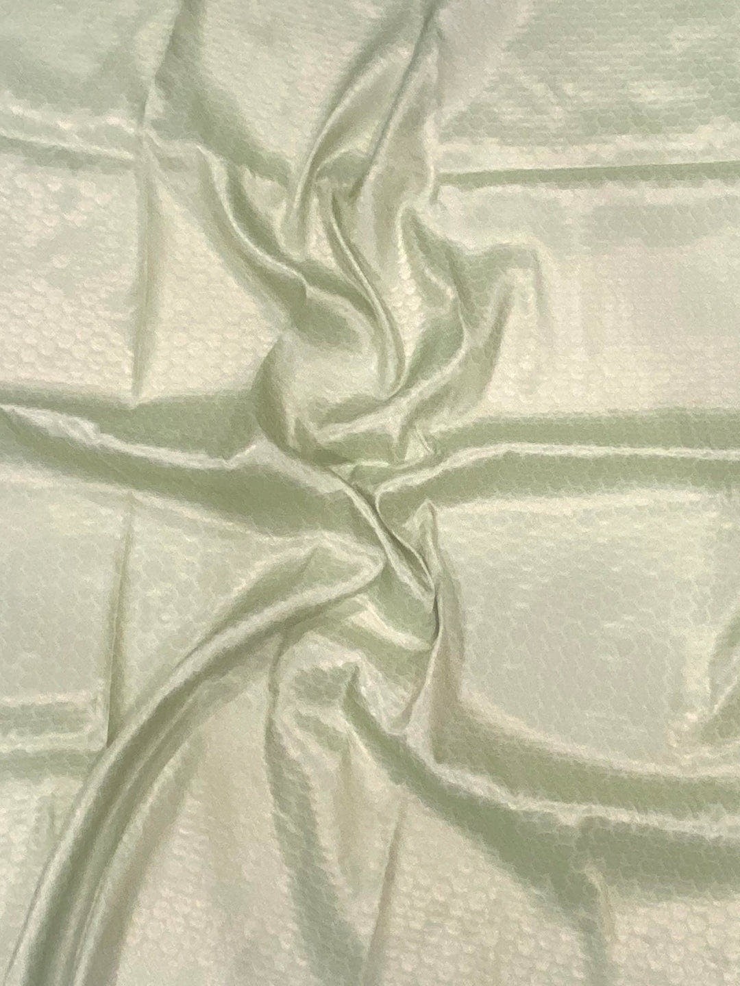 Pastel Green Kanjivaram Digital Silk Saree