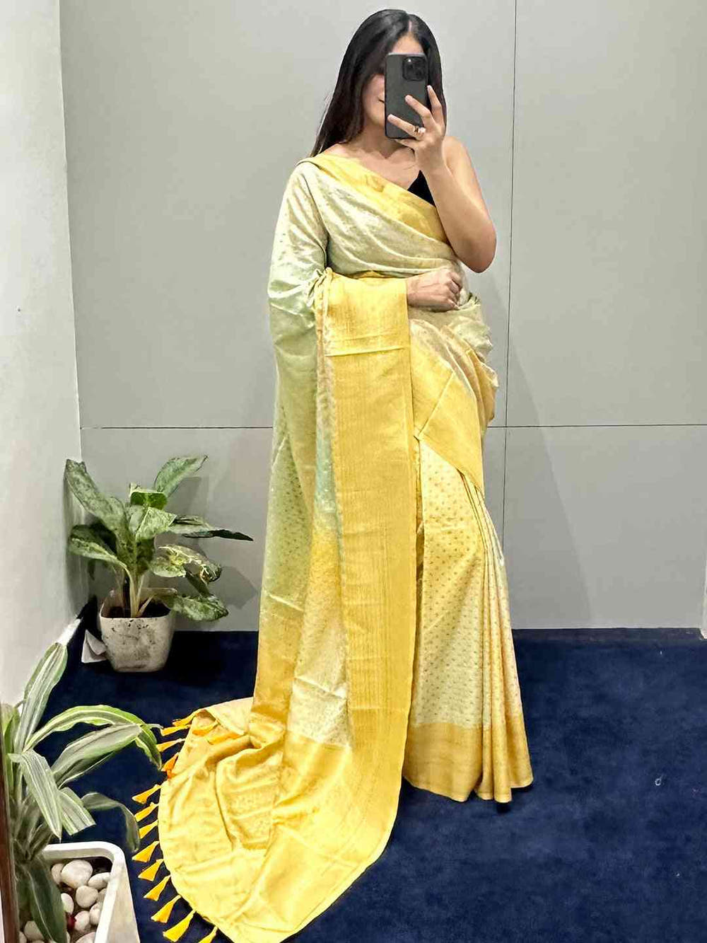 Soft Silk Banarasi Ombre Print Saree