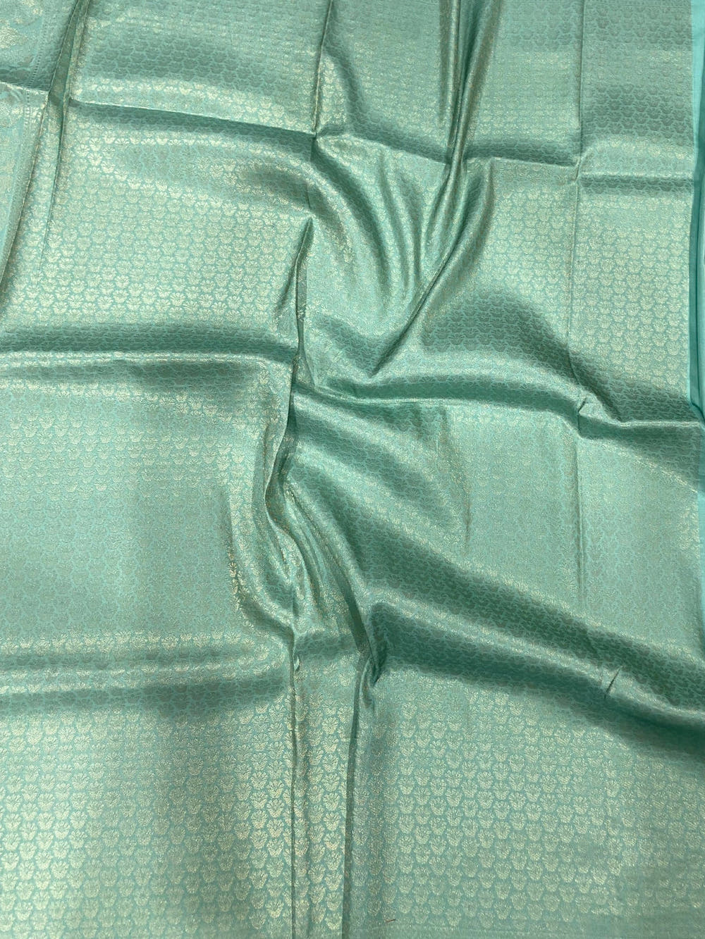 Mint Green Kanjivaram Digital Silk Saree