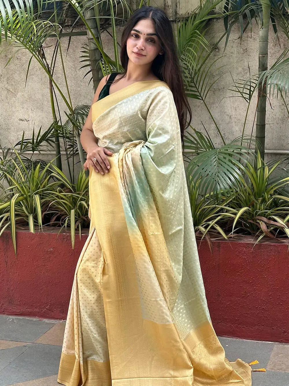 Soft Silk Banarasi Ombre Print Saree