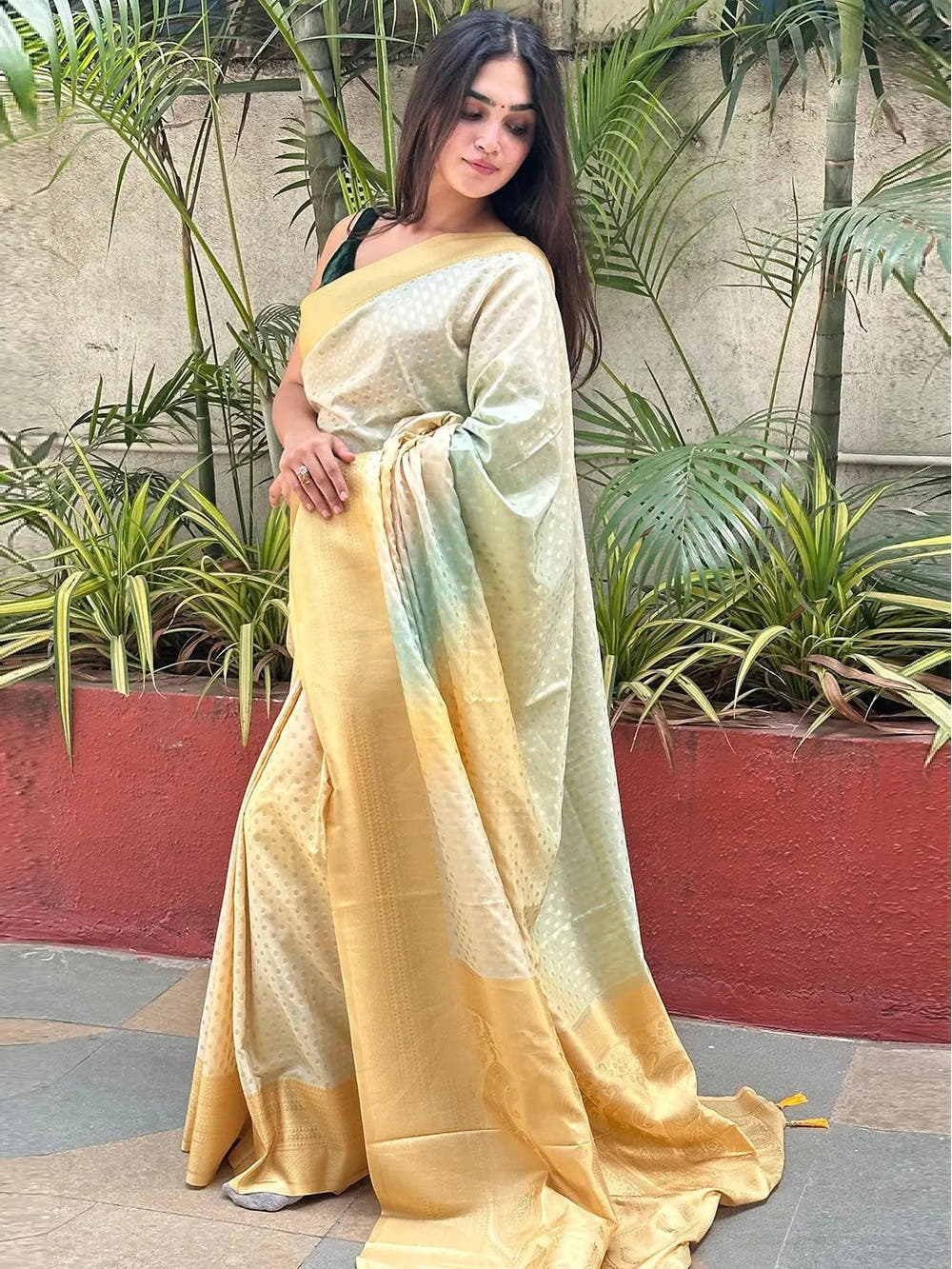 Soft Silk Banarasi Ombre Print Saree
