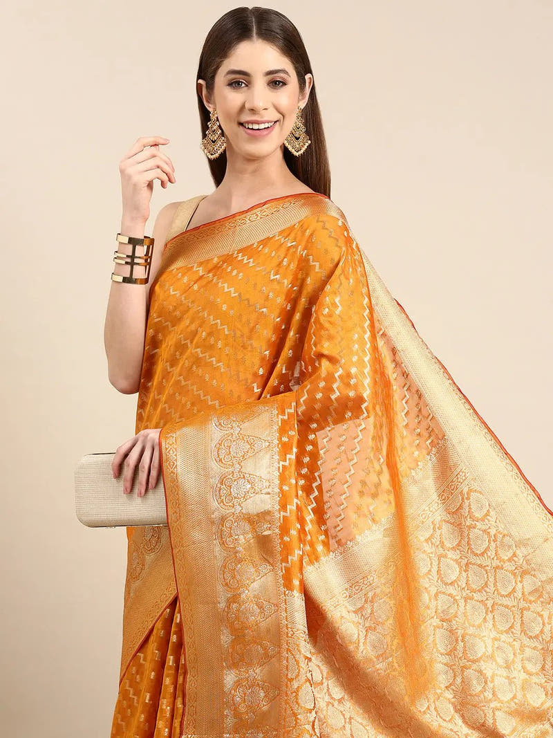  Banarasi Katan Tissue Silk Saree for Festive Wear