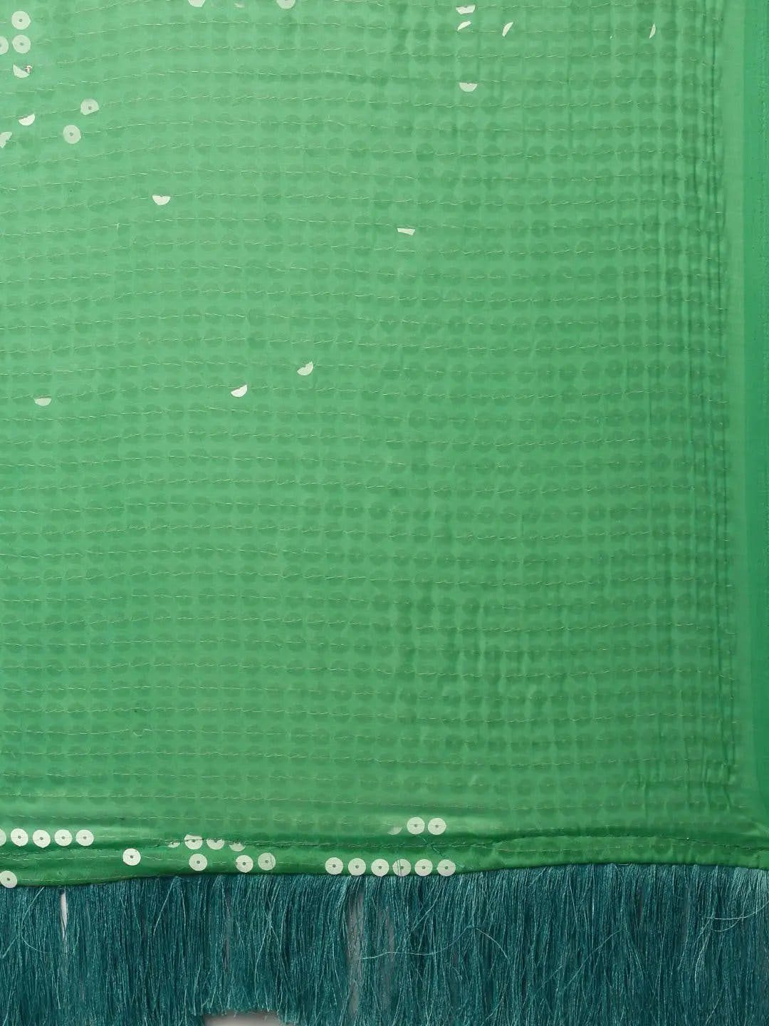 Design Ombre Pista Colour Two Tone Sequence Saree