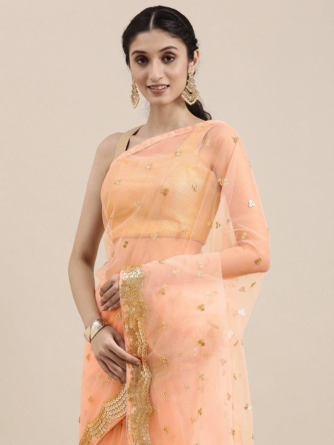 Exclusive Soft Net Sequence Work Party Wear Saree