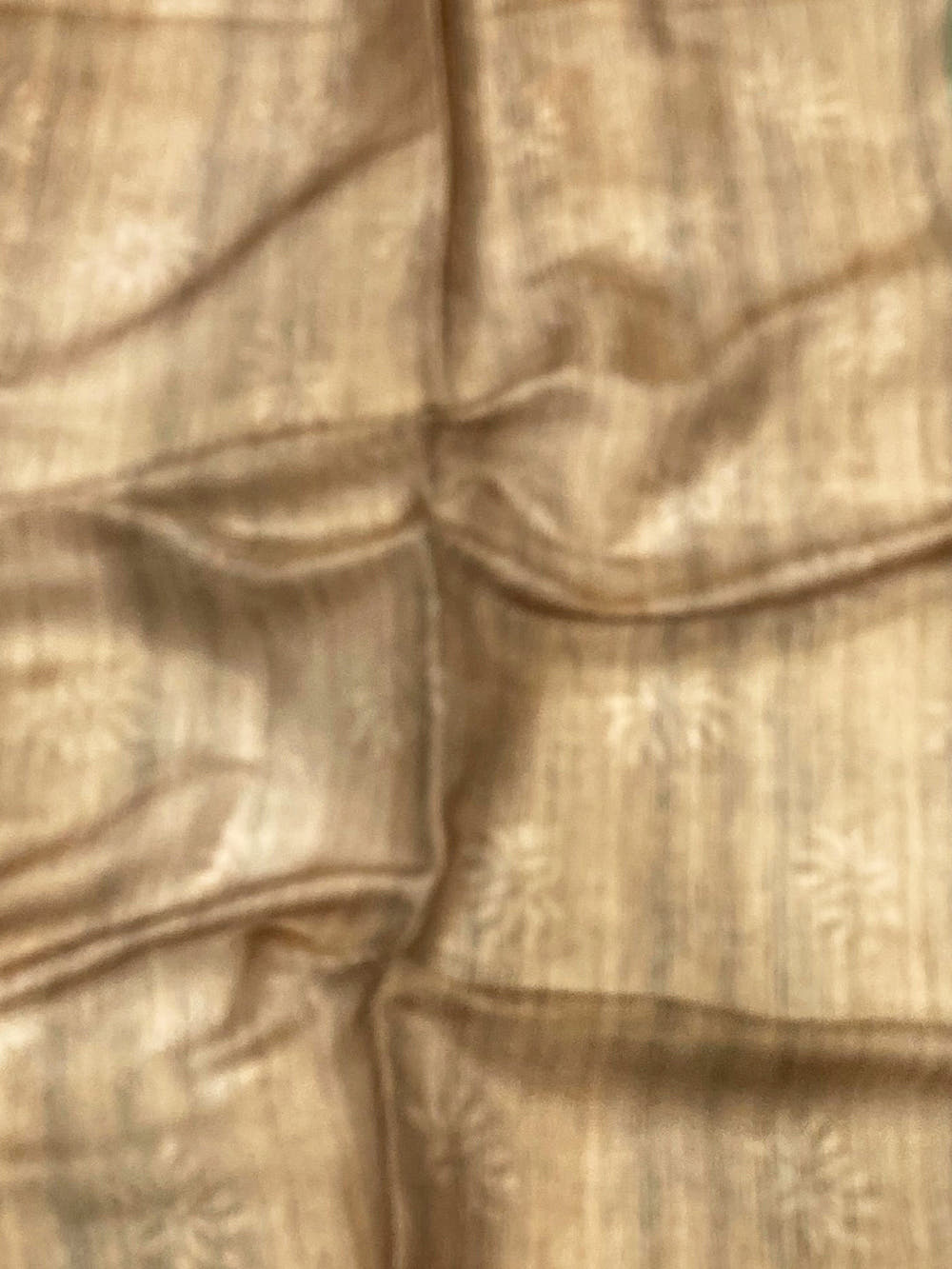 Green Tissue Chanderi Floral Abstract Saree